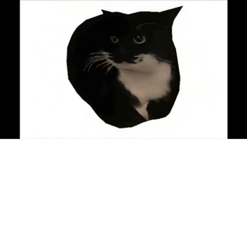 Maxwell intense party!!!!