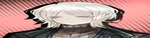 secret society of limbus avatar