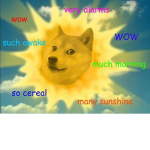 WE ARE THE DOGE GROUP