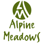 *-+/Alpine Academy\+-*
