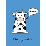 -identity crisis-