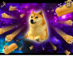 Dogisie placka