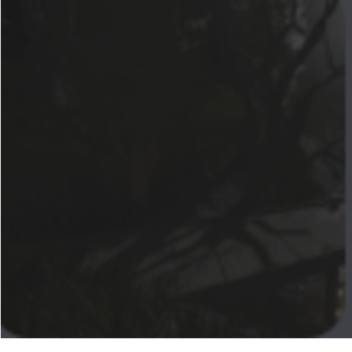 (CHAPTER 1) (Horror) After Greenwood.