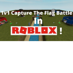the flags