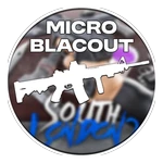 Micro300Blacout