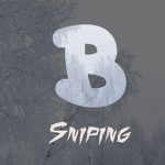 Bliss Sniping Official