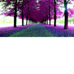 lanbengeldimrobux