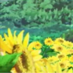 🌻
