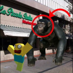 ESCAPE From BENJA At Piccola Italia (OBBY)