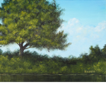 -The Underbrush-