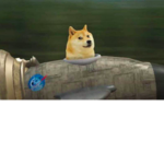 united states of doge gangs