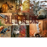 Call of The Canis