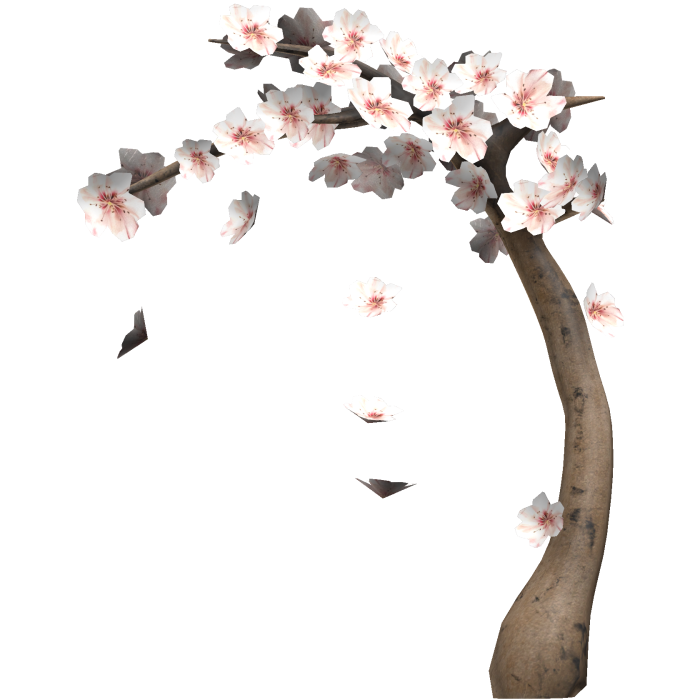 Overhanging Blossom Tree