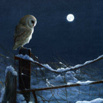 The Owls Strike