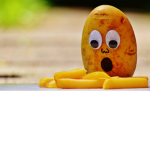 POTATO POTATO POTATO POTATO POTATO INCORPORATED