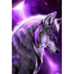 The obsidian wolf pack