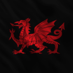 Her Majesty's Black Dragon Infantry