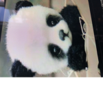 Pandas are the best so deal with it squad##