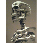 Bone Takers and Givers