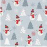 The Christmas countdown group