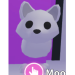 Artic fox 1