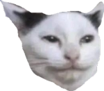 MrDewep