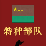 (SOF)陆军73特种作战旅Special operations forces