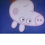 Pigs Home