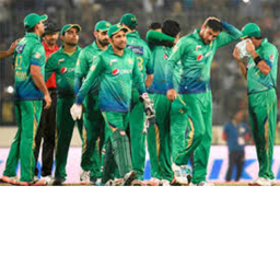 Cricket stadium:Real match