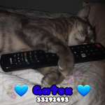 Gatox