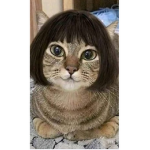 The Supercats