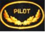 TERP (The Elete ROBLOX Pilots)