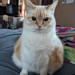 unk