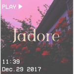 Jadore clothing group
