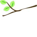 TREE BRANCH 3