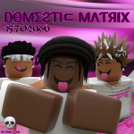 DOMESTIC MATRIX