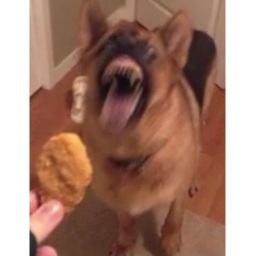 Scary Nugget