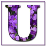 Letter U