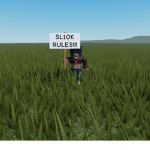 SL1OK