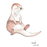 OTTER PACK