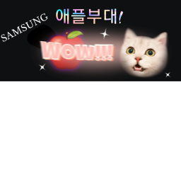 애플 부대