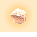 V4LID Co.
