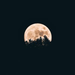 ~Aesthetic moons ~