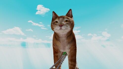 Passeggiata nel gatto