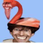 Flamlngo fan club