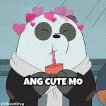 hi byeeee