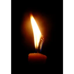 Siempre en la luz icon