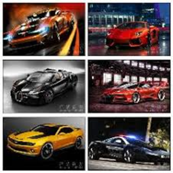 car racing of the best