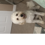 Rosekaylee1101