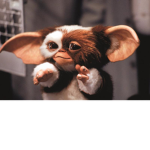 Gremlin TNT